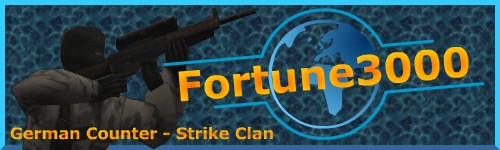 Fortune 3000
